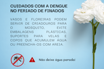 Neste dia de finados preste sua homenagem e lembre-se dos cuidados com o mosquito da dengue