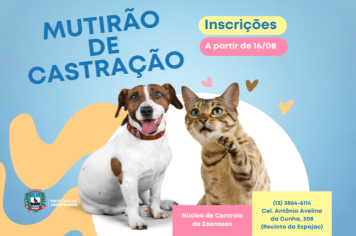 Mutirão de castração de cães e gatos será dia 29/09