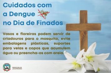 Neste dia de finados preste sua homenagem e lembre-se dos cuidados com o mosquito da dengue