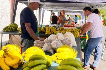 Feira do Produtor Rural no Paço Municipal.