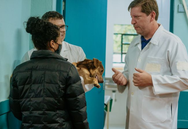 Cães e gatos são recebidos pela equipe de Zoonoses para receber microchipagem e passar pela castração