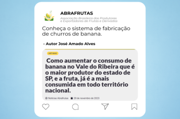 Conheça o sistema de fabricação de churros de banana
